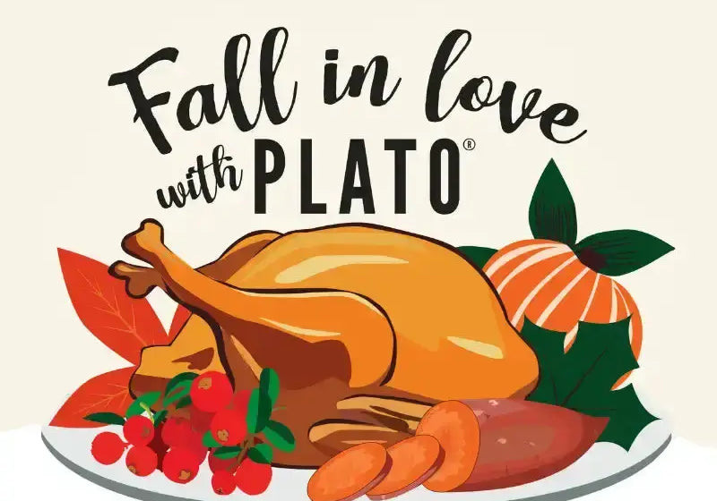Science-Backed-Health-Flavor-Benefits-of-Air-Drying-Your-Dog-s-Favorite-Treats Plato Pet