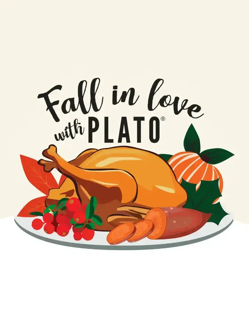 Science-Backed-Health-Flavor-Benefits-of-Air-Drying-Your-Dog-s-Favorite-Treats Plato Pet