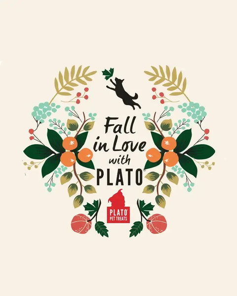 Honestly-Healthy-Dog-Treats-Can-Improve-Quality-of-Life-Increase-Lifespan Plato Pet