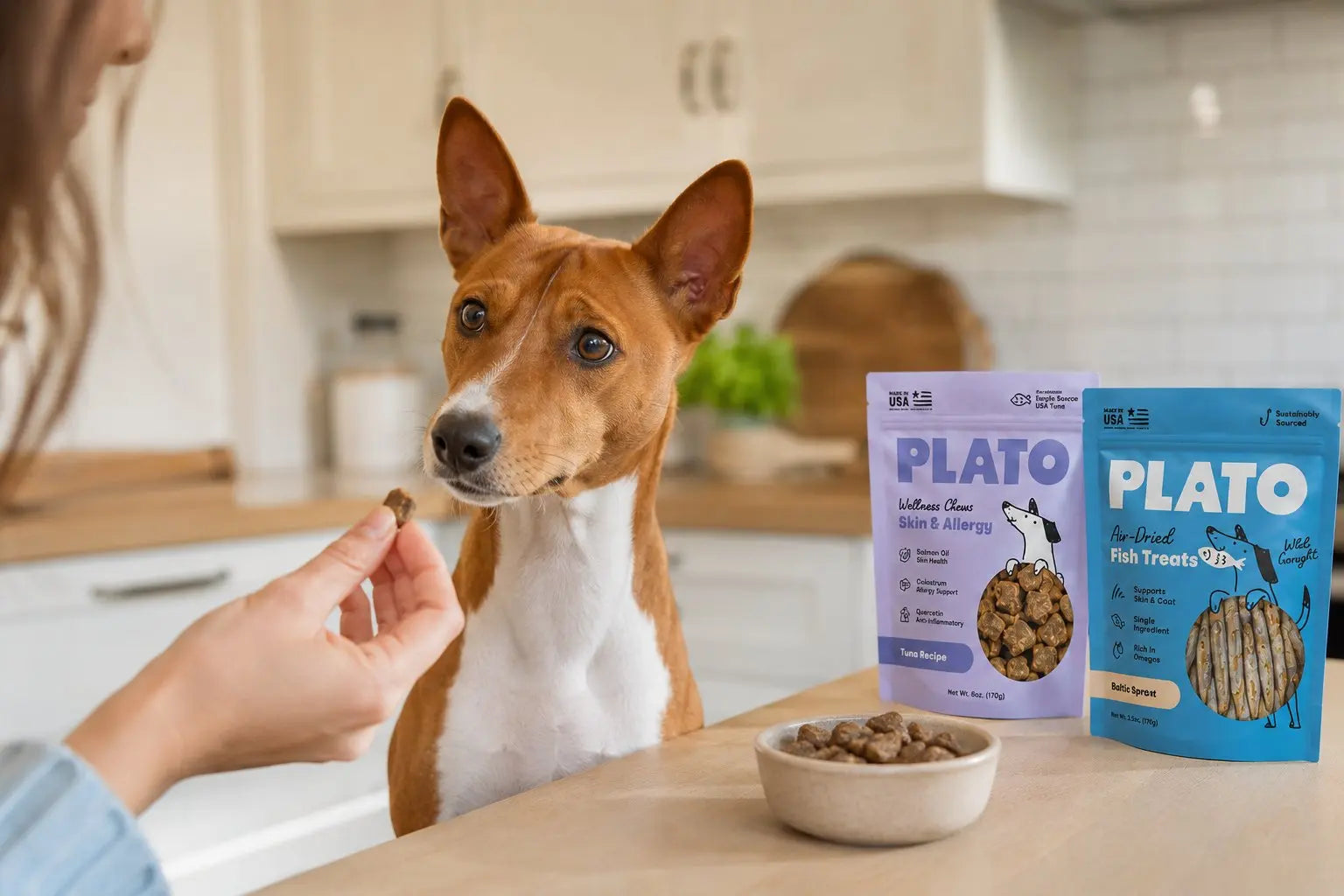 Dog enjoying limited ingredient treats suitable for allergy-prone pups