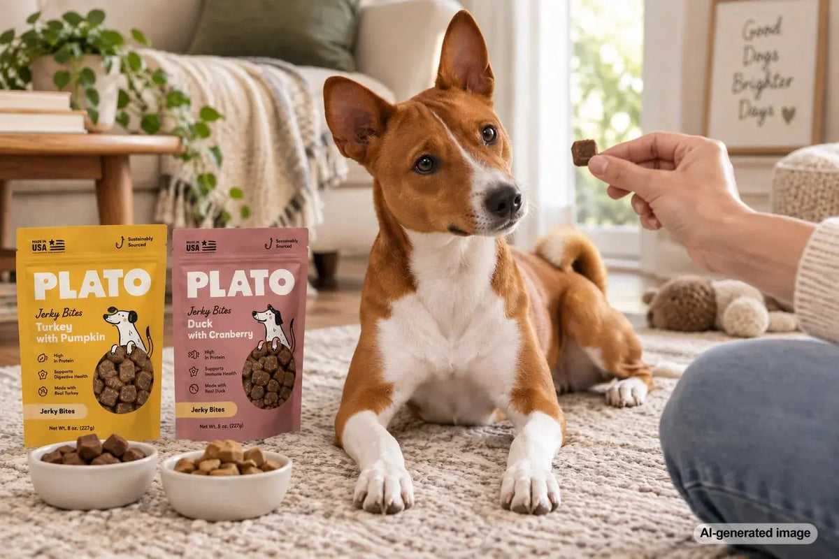 Dog being introduced gradually to a new protein treat while keeping the rest of the feeding routine familiar