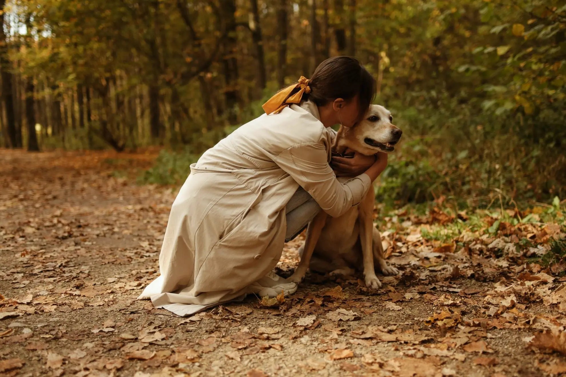 The-4-Benefits-Our-Pets-Provide-to-Us Plato Pet