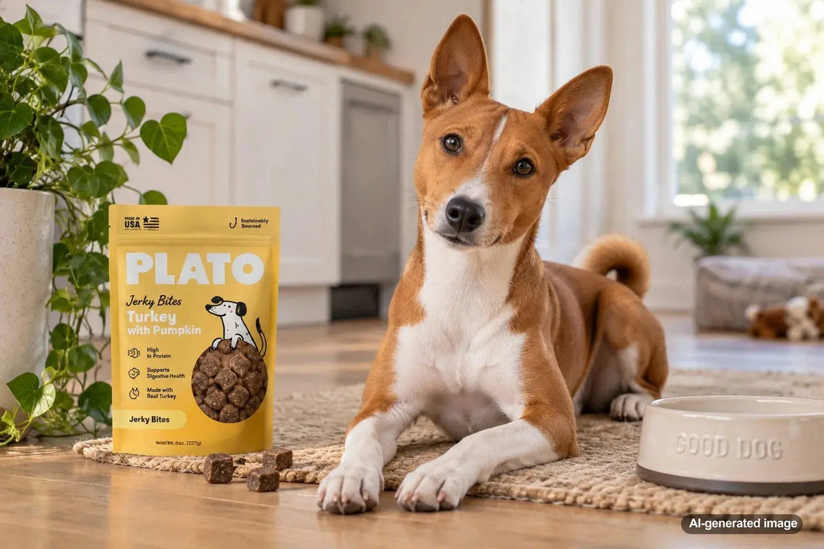Pet owner reviewing the guaranteed analysis and nutrition information on a package of pet treats