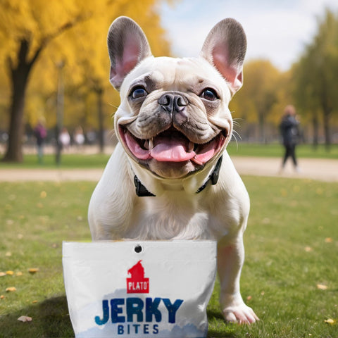 Jerky Bites