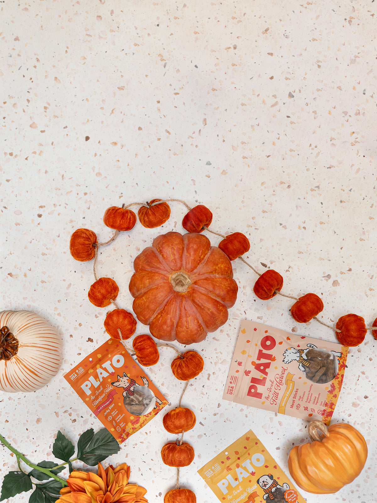 Fall Flavors Are Here