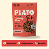 Training Bites Salmon