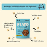 Chicken & Catnip Cat Treats