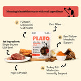 Wellness Chews Immunity & Gut