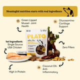 Wellness Chews Mobility & Anti-Inflammatory