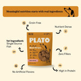 Real Strips Salmon Plato Pet Treats