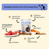 Wellness Chews Skin & Allergy