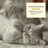 Tuna & Salmon Cat Treats