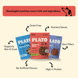 New Puppy Essentials Bundle