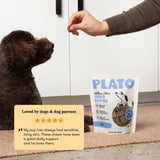 Wellness Chews Skin & Allergy