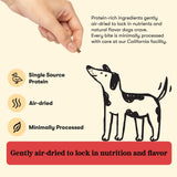 New Puppy Essentials Bundle