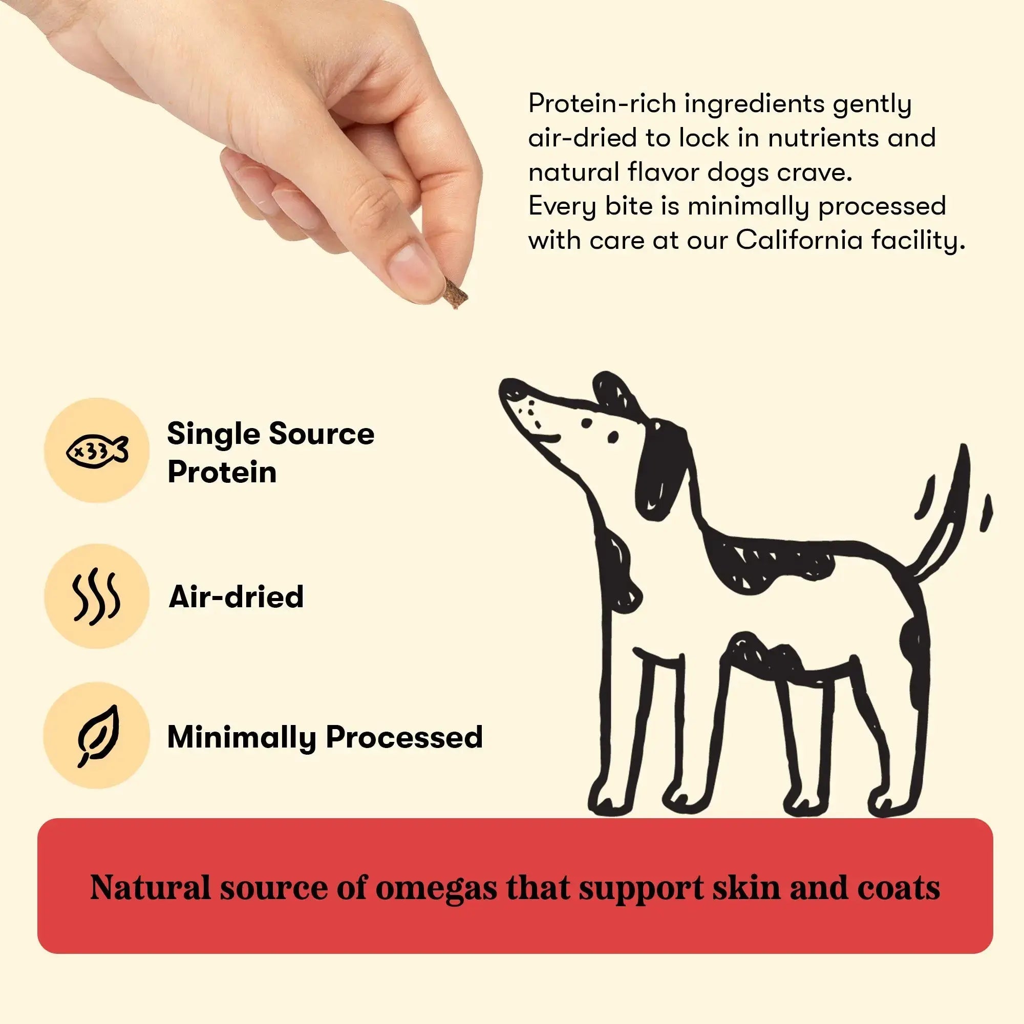 Training Bites Salmon Plato Pet Treats