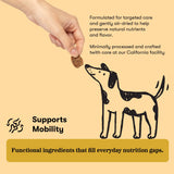 Senior / Healthy Aging Bundle