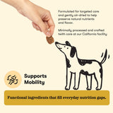 Wellness Chews Mobility & Anti-Inflammatory