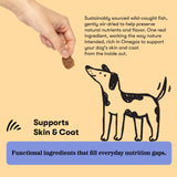 Skin & Coat Support Bundle
