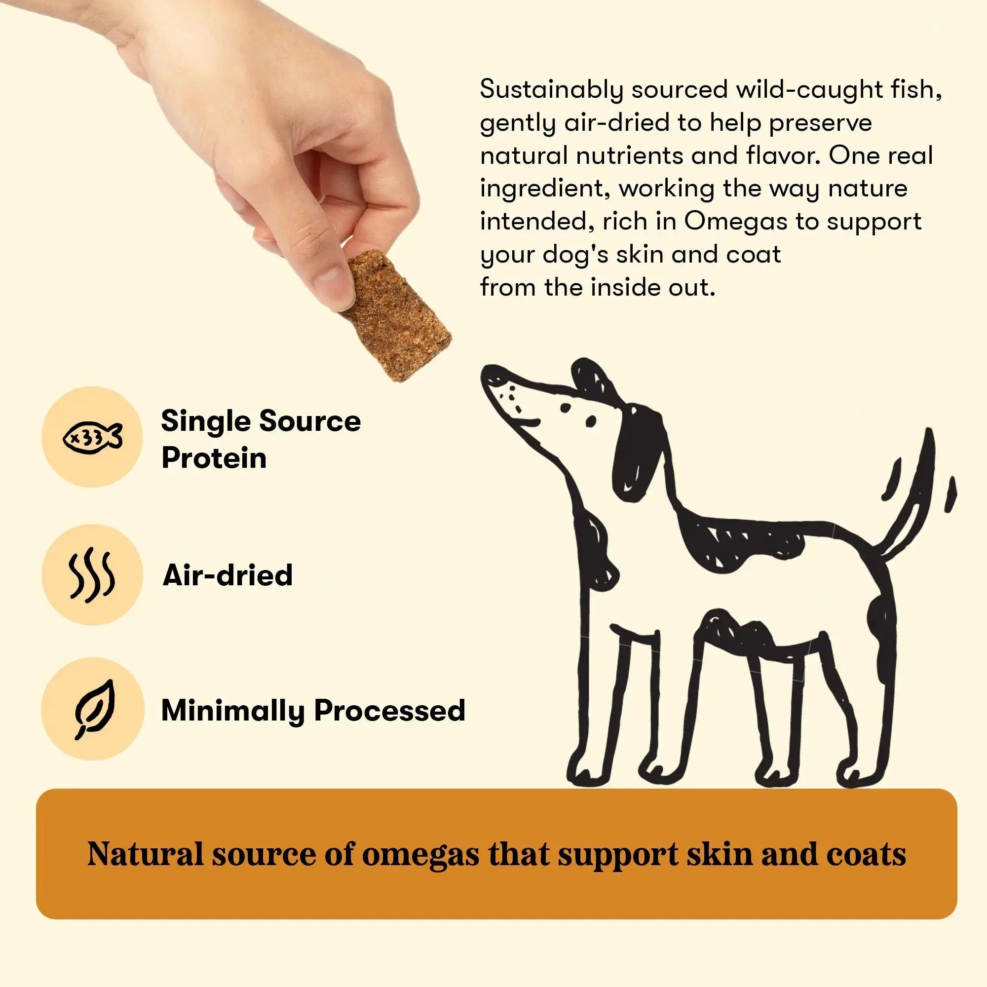 Real Strips Salmon Plato Pet Treats