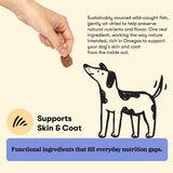 Wellness Chews Skin & Allergy