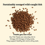 Training Bites Salmon Plato Pet Treats