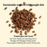 Wellness Chews Skin & Allergy