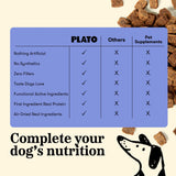 Wellness Chews Skin & Allergy