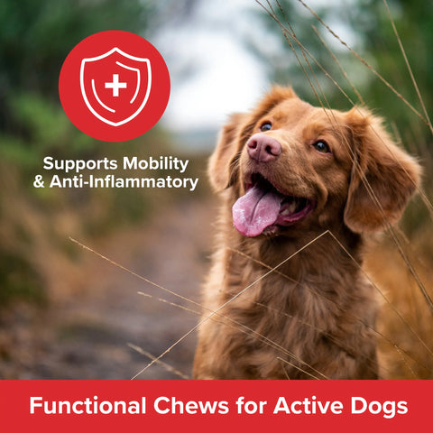 Air-Dried Wellness Chews Mobility & Anti-Inflammatory