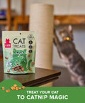 Chicken & Catnip Cat Treats Plato Pet Treats