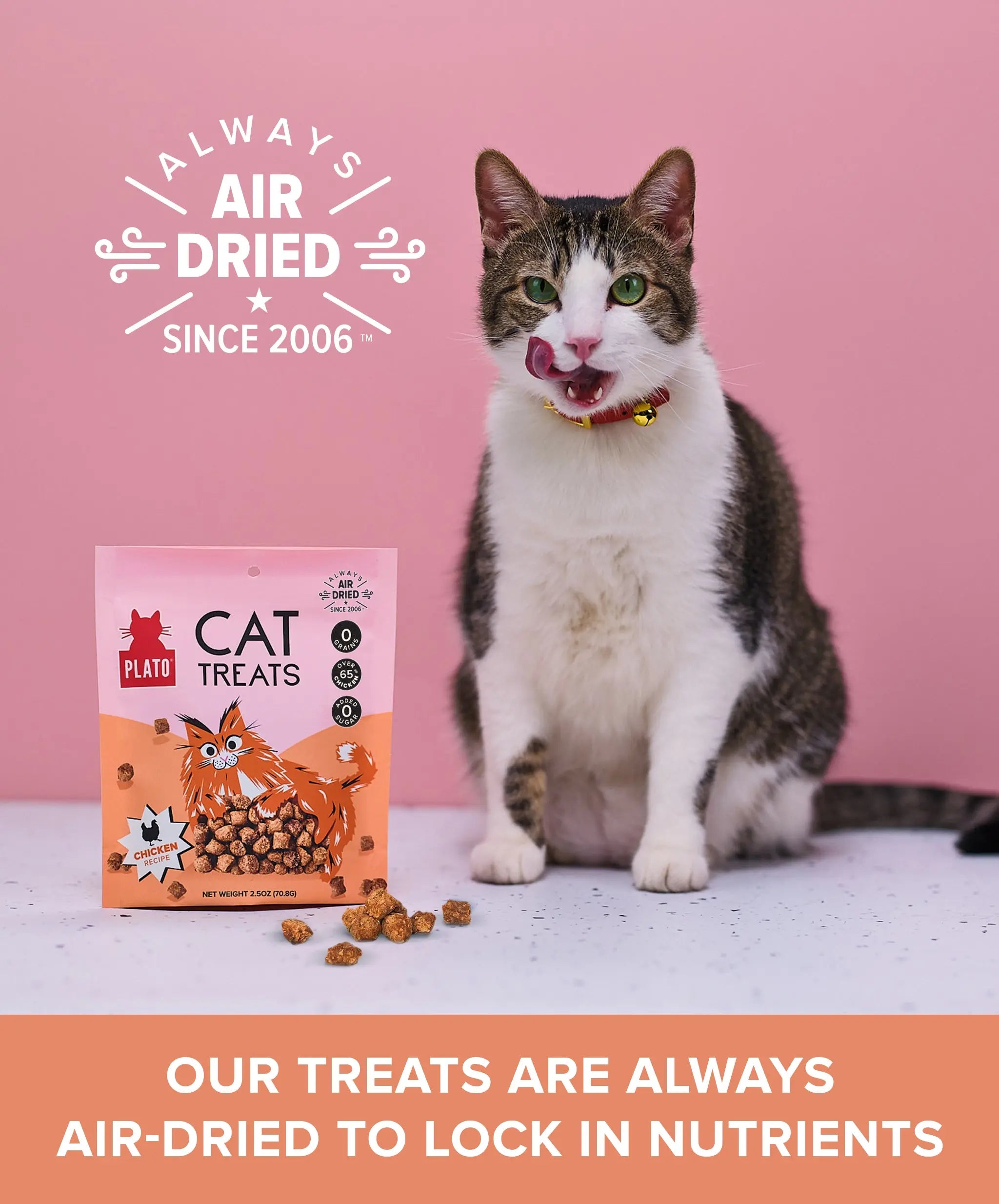 Chicken Cat Treats - Plato Pet – Plato Pet