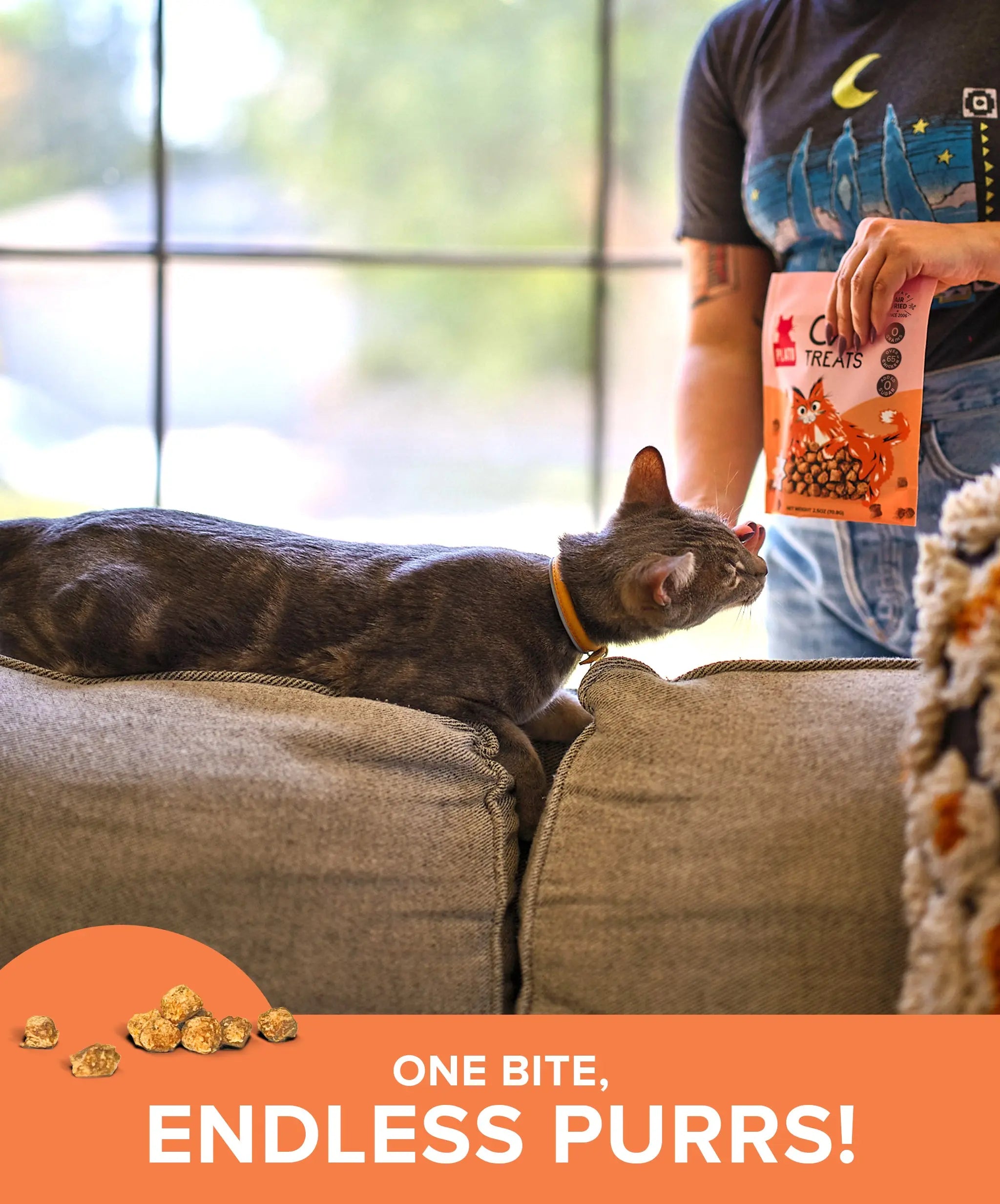 Chicken Cat Treats – Plato Pet