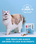 Tuna & Salmon Cat Treats Plato Pet Treats