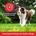 Air-Dried Wellness Chews Immunity & Gut Plato Pet