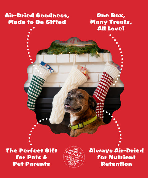 Santa's On the Go! Snack Box
