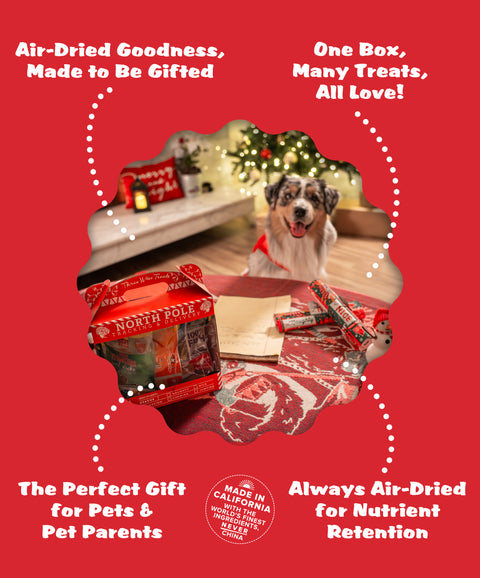 Plato Holiday Gift Box