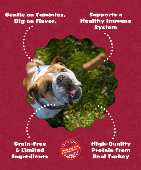 Original Real Strips Turkey with Cranberry