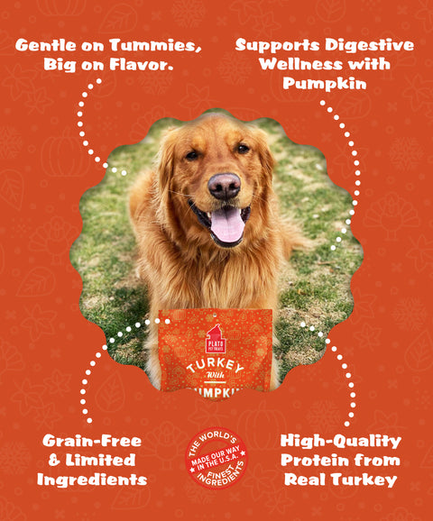 Original Real Strips Turkey with Pumpkin