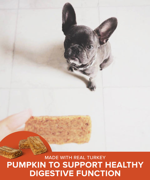 Original Real Strips Turkey with Pumpkin