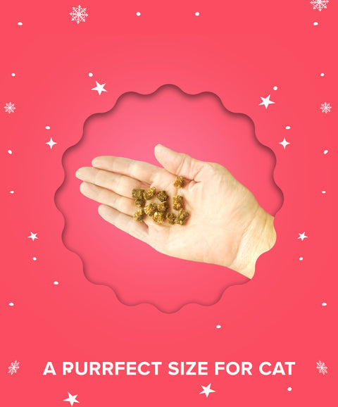 Paws & Claws Cat Treats 2 Pack