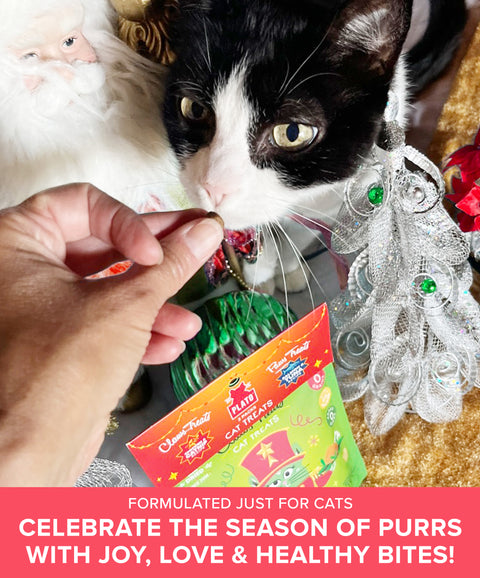 Paws & Claws Cat Treats 2 Pack