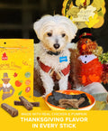 Thanksgiving Dinner Chicken and Pumpkin Sticks Plato Pet Treats