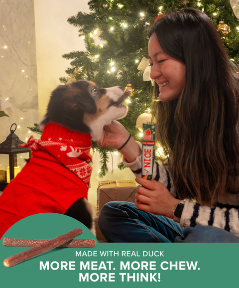 Naughty Nice Thinkers Duck Recipe