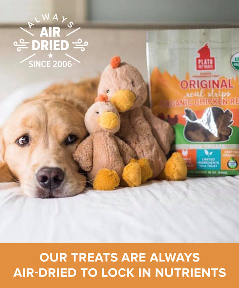Original Real Strips Organic Chicken