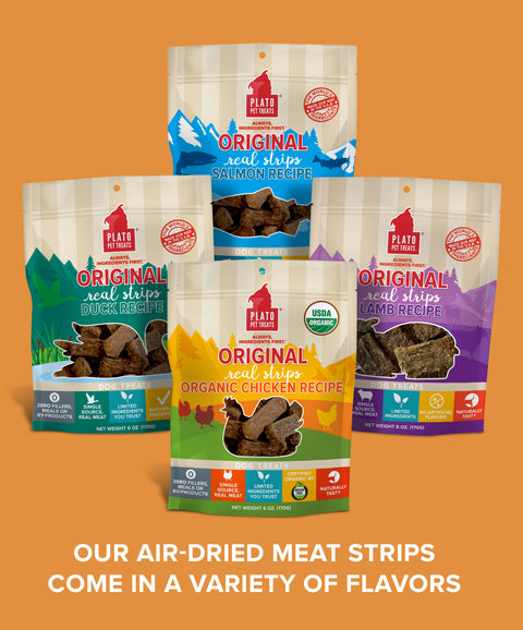 Original Real Strips Organic Chicken