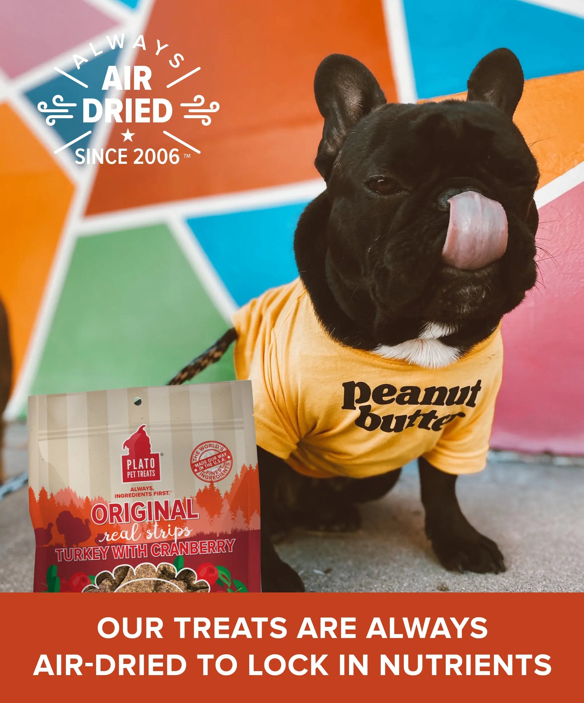 Original Real Strips Turkey With Cranberry Plato Pet Treats