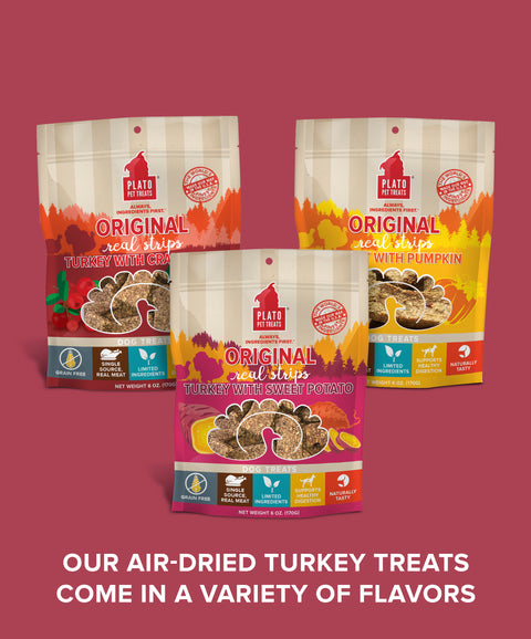 Original Real Strips Turkey With Sweet Potato