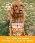 Original Real Strips Turkey With Pumpkin Plato Pet Treats