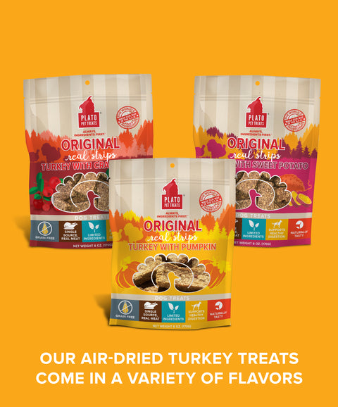 Original Real Strips Turkey With Pumpkin