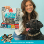 Big Fish Pack Plato Pet